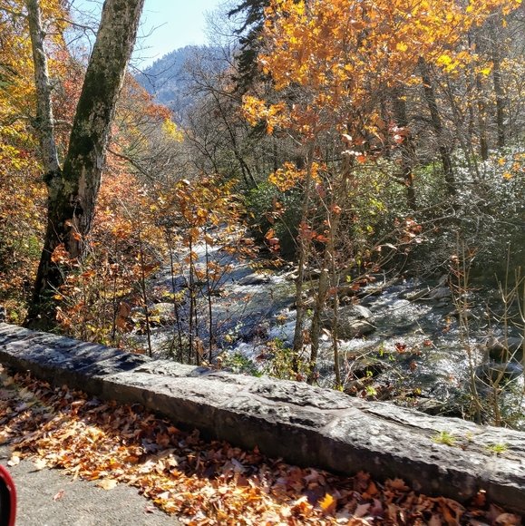 Meet your Posher, Jackie - Picture 10 of 10